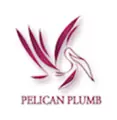 Pelican Plumb